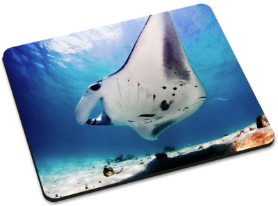 

Shoprider DESGINER MOUSEPAD-321 Mousepad(Multicolor)