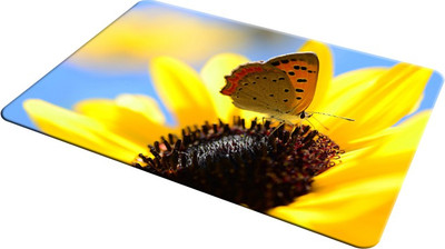

EMPRESSION EMP-LOT2-543 Mousepad(Multicolor)