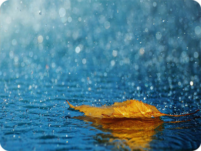 

SYL Leaf Drop Mousepad(Multicolor)