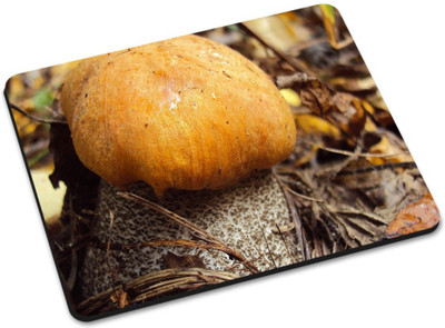 

Shoprider MULTICOLOR-989 Mousepad(Multicolor)