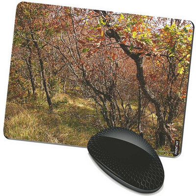 

FRENEMY MPAD4390 Mousepad(Multicolor)