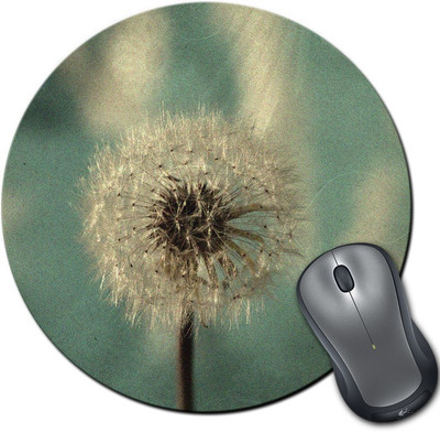 

Rangeele Inkers Dandelion Flowers Round Mousepad(Multicolor)