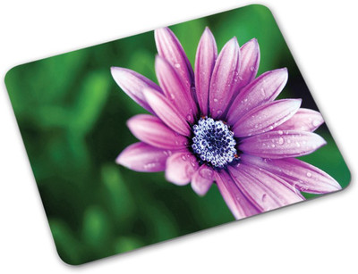 

Shoprider Desginer-716 Mousepad(Multicolor)