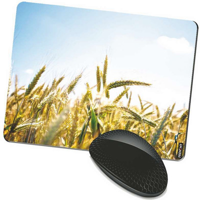 

FRENEMY MPAD9279 Mousepad(Multicolor)