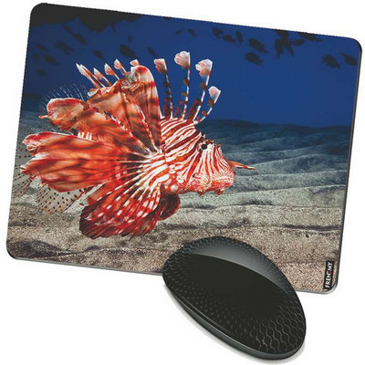 

FRENEMY MPAD8076 Mousepad(Multicolor)