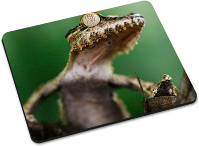 

Shoprider DESGINER MOUSEPAD-293 Mousepad(Multicolor)
