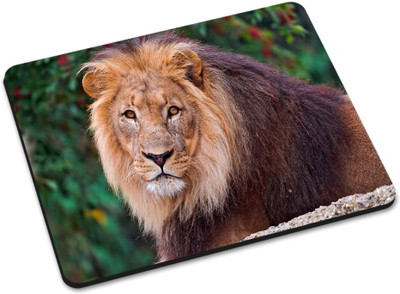 

Shoprider DESGINER MOUSEPAD-070 Mousepad(Multicolor)