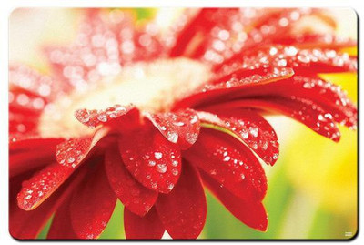 

Shopmania MULTICOLOR-063 Mousepad(Multicolor)