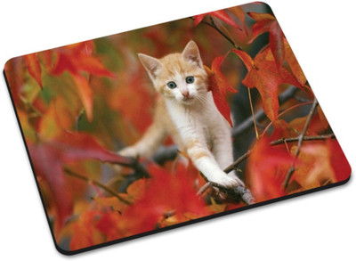 

Shoprider MULTICOLOR-240 Mousepad(Multicolor)
