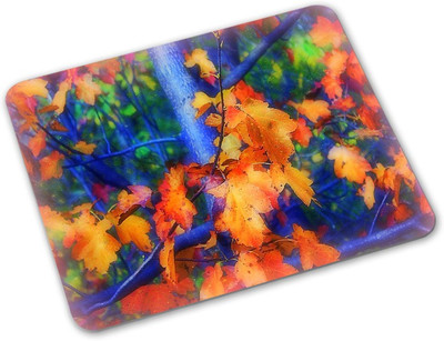 

Shoprider Desginer-620 Mousepad(Multicolor)