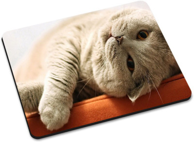 

Shoprider DESGINER MOUSEPAD-226 Mousepad(Multicolor)