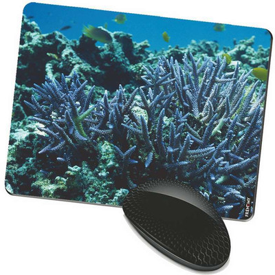 

FRENEMY MPAD8072 Mousepad(Multicolor)