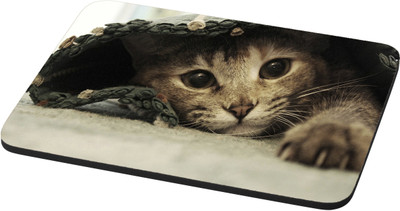 

EMPRESSION Multicolor-1669 Mousepad(Multicolor)