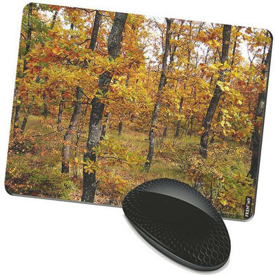 

FRENEMY MPAD4900 Mousepad(Multicolor)