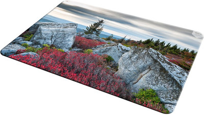 

EMPRESSION EMP-LOT2-1192 Mousepad(Multicolor)