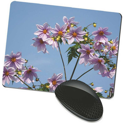 

FRENEMY MPAD5753 Mousepad(Multicolor)