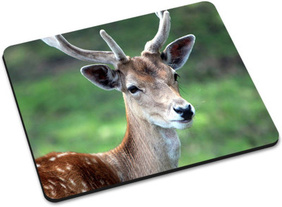 

Shoprider DESGINER MOUSEPAD-004 Mousepad(Multicolor)