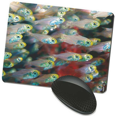 

FRENEMY MPAD8901 Mousepad(Multicolor)
