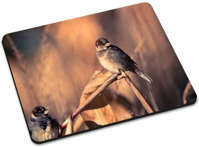

Shoprider DESGINER MOUSEPAD-505 Mousepad(Multicolor)