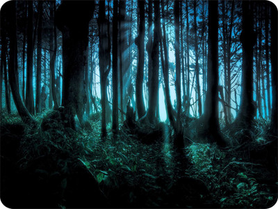 

SYL Forest Mousepad(Multicolor)