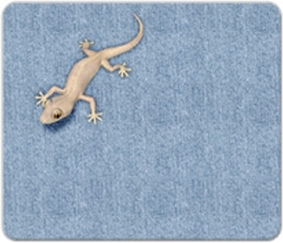 

Allthingscustomized Lizard Mousepad(Multicolor)