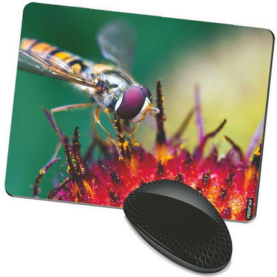 

FRENEMY MPAD4245 Mousepad(Multicolor)