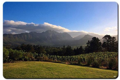 

Shopmania MULTICOLOR-425 Mousepad(Multicolor)