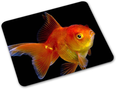

Shoprider Desginer-639 Mousepad(Multicolor)