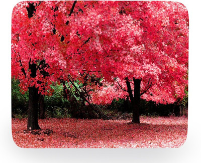 

PhotogiftsIndia pink tree nature Mousepad(Multicolor)
