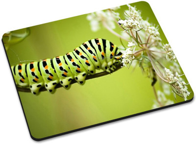 

Shoprider MULTICOLOR-938 Mousepad(Multicolor)