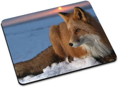 

Shoprider MULTICOLOR-148 Mousepad(Multicolor)