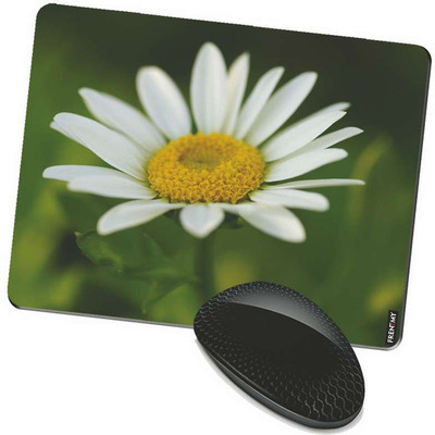 

FRENEMY MPAD2833 Mousepad(Multicolor)