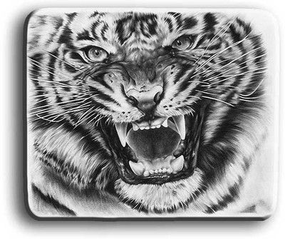 

Shopmania Designer-448 Mousepad(Multicolor)