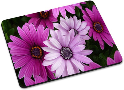 

Shoprider DESGINER MOUSEPAD-310 Mousepad(Multicolor)