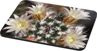 

EMPRESSION Multicolor-646 Mousepad(Multicolor)