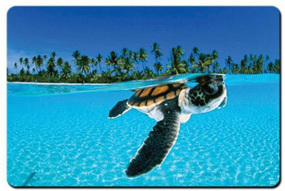 

Shopmania MULTICOLOR-313 Mousepad(Multicolor)