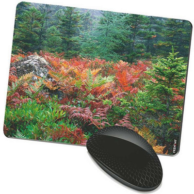 

FRENEMY MPAD6567 Mousepad(Multicolor)