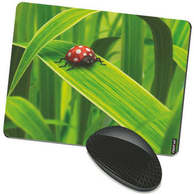 

FRENEMY MPAD4000 Mousepad(Multicolor)