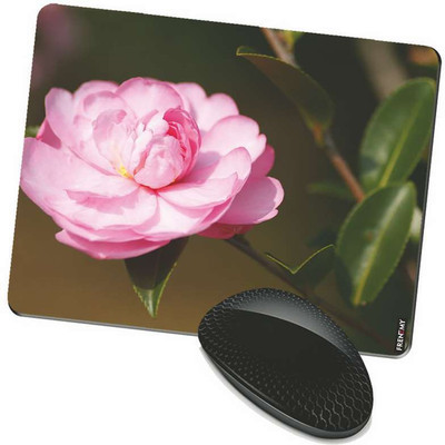 

FRENEMY MPAD3302 Mousepad(Multicolor)