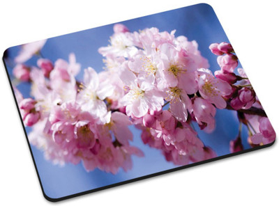 

Shoprider MULTICOLOR-159 Mousepad(Multicolor)