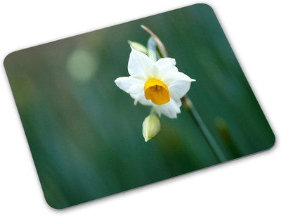 

Shoprider Desginer-650 Mousepad(Multicolor)