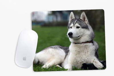 

Sowing Happiness SHMUSPD077 Mousepad(Multicolor)