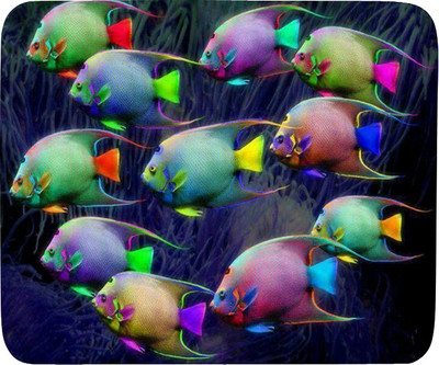 

PhotogiftsIndia Mouse Pad 032 Mousepad(Multicolor)