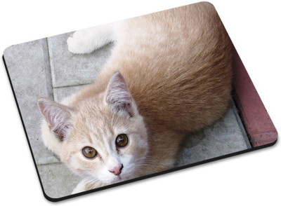 

Shoprider DESGINER MOUSEPAD-077 Mousepad(Multicolor)