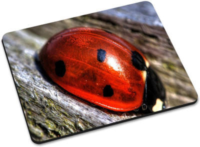 

Shoprider DESGINER MOUSEPAD-655 Mousepad(Multicolor)