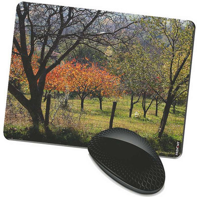 

FRENEMY MPAD4595 Mousepad(Multicolor)