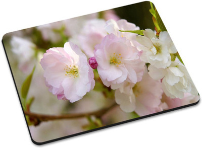 

Shoprider MULTICOLOR-363 Mousepad(Multicolor)