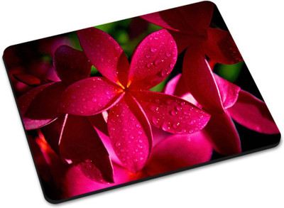 

Shoprider DESGINER MOUSEPAD-533 Mousepad(Multicolor)