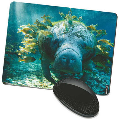 

FRENEMY MPAD8034 Mousepad(Multicolor)