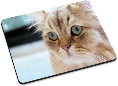 

Shoprider DESGINER MOUSEPAD-343 Mousepad(Multicolor)